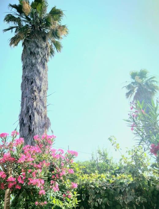 La Casetta Colorata Hotel Catania Bagian luar foto